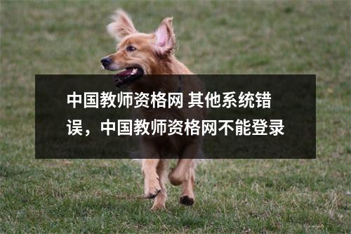中国教师资格网 其他系统错误，中国教师资格网不能登录