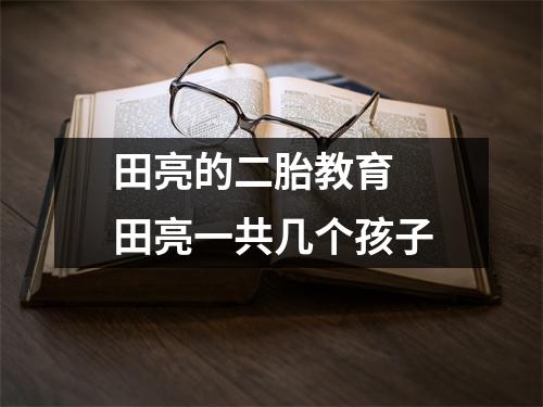 田亮的二胎教育 田亮一共几个孩子