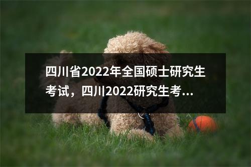 四川省2022年全国硕士研究生考试,四川2022研究生考试公告