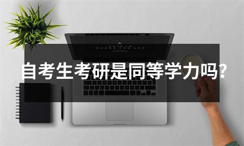 自考生考研是同等学力吗？