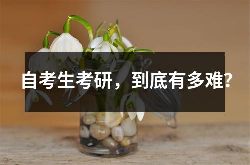 自考生考研，到底有多难？