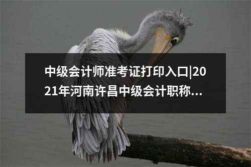 中级会计师准考证打印入口|2021年河南许昌中级会计职称考试准考证打印入口已开通