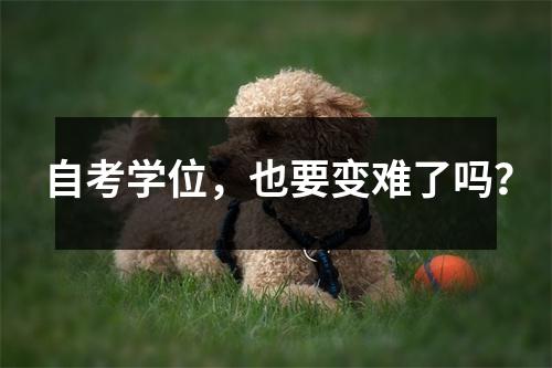 自考学位，也要变难了吗？