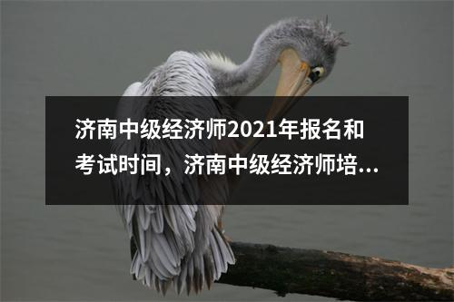 济南中级经济师2021年报名和考试时间，济南中级经济师培训机构