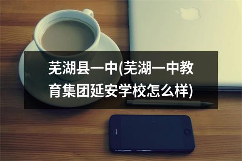 芜湖县一中(芜湖一中教育集团延安学校怎么样)