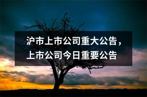 沪市上市公司重大公告，上市公司今日重要公告