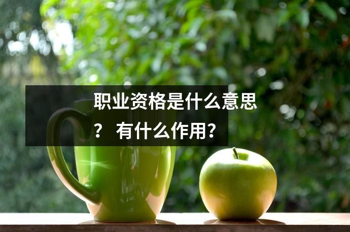 职业资格是什么意思？ 有什么作用？