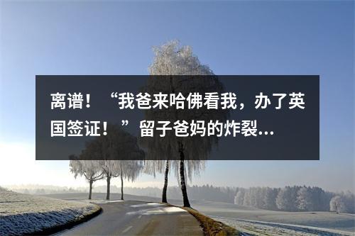 离谱!“我爸来哈佛看我,办了英国签证! ”留子爸妈的炸裂行为,让我小脑萎缩了…