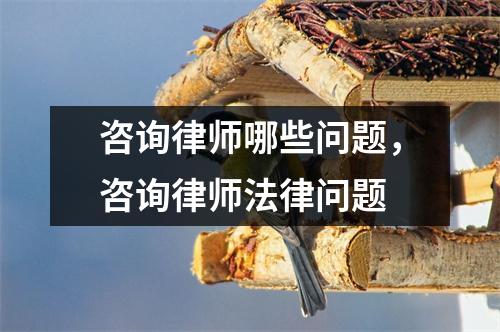 咨询律师哪些问题，咨询律师法律问题