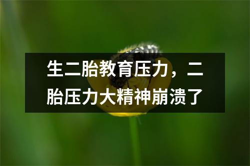 生二胎教育压力,二胎压力大精神崩溃了