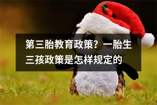 第三胎教育政策？一胎生三孩政策是怎样规定的