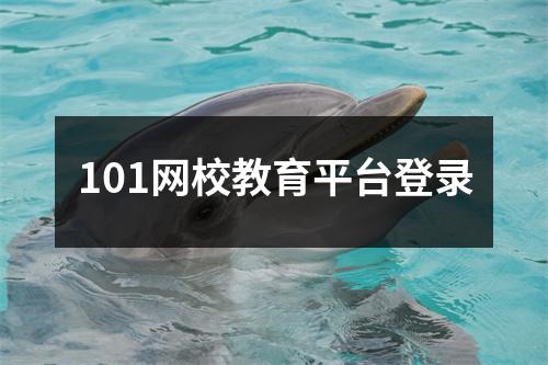 101网校教育平台登录