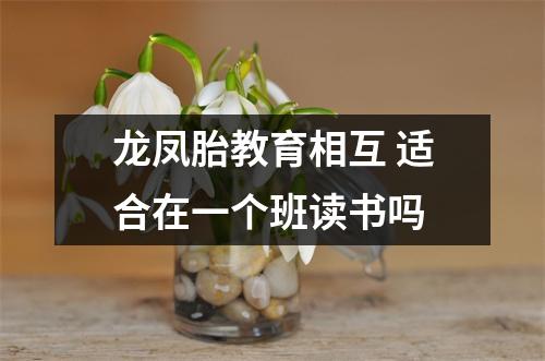 龙凤胎教育相互 适合在一个班读书吗