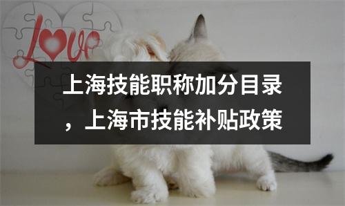 上海技能职称加分目录，上海市技能补贴政策