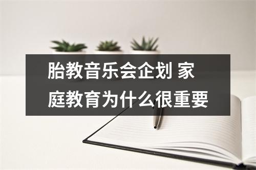 胎教音乐会企划 家庭教育为什么很重要