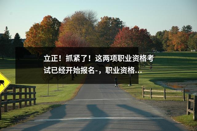 立正！抓紧了！这两项职业资格考试已经开始报名-，职业资格报名条件