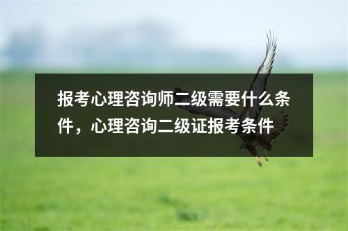 报考心理咨询师二级需要什么条件，心理咨询二级证报考条件