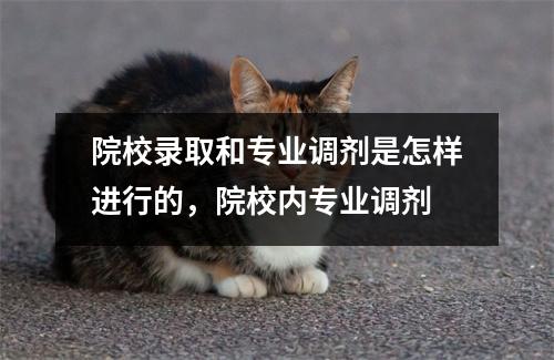 院校录取和专业调剂是怎样进行的,院校内专业调剂