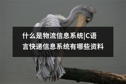 什么是物流信息系统|C语言快递信息系统有哪些资料