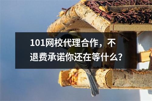 101网校代理合作,不退费承诺你还在等什么?