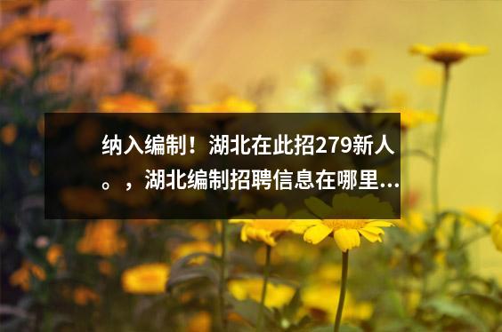 纳入编制!湖北在此招279新人。,湖北编制招聘信息在哪里看