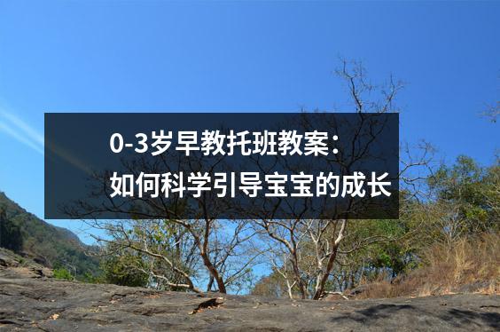 0-3岁早教托班教案：如何科学引导宝宝的成长