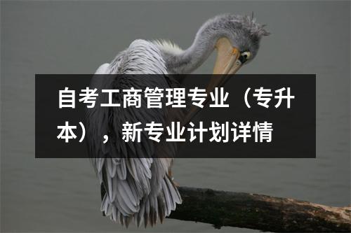 自考工商管理专业（专升本），新专业计划详情