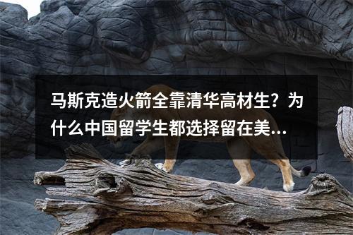 马斯克造火箭全靠清华高材生？为什么中国留学生都选择留在美国？