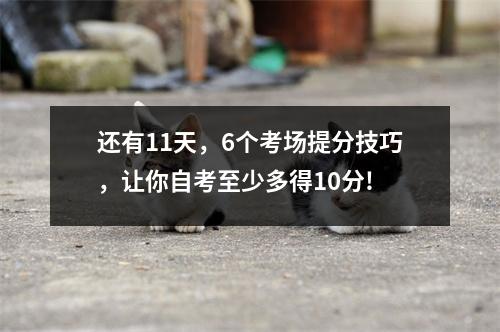 还有11天，6个考场提分技巧，让你自考至少多得10分!
