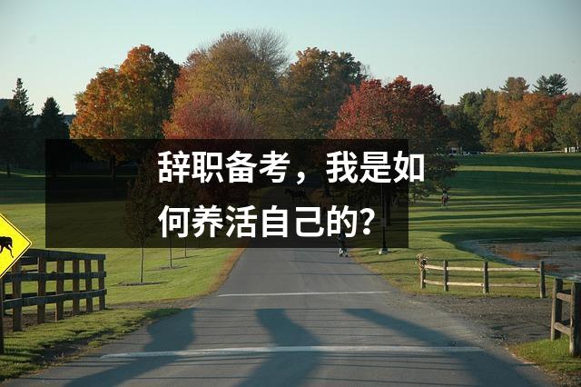 辞职备考，我是如何养活自己的？
