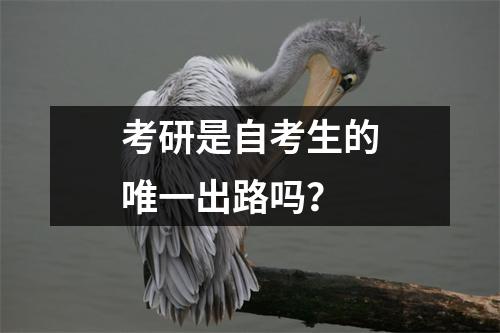 考研是自考生的唯一出路吗?