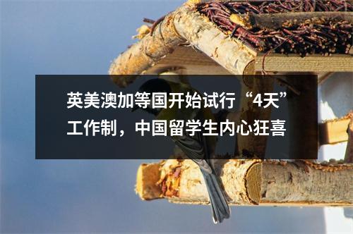 英美澳加等国开始试行“4天”工作制，中国留学生内心狂喜