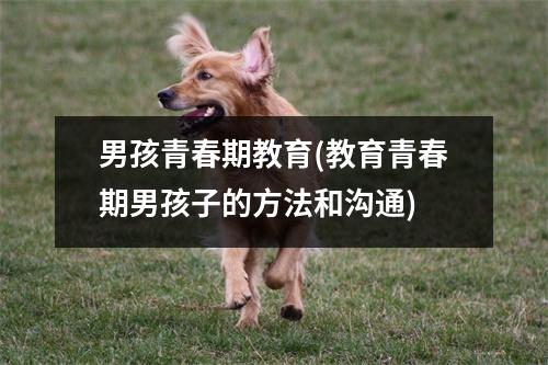 男孩青春期教育(教育青春期男孩子的方法和沟通)