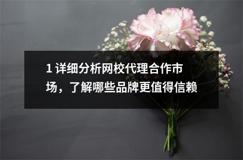 1 详细分析网校代理合作市场,了解哪些品牌更值得信赖
