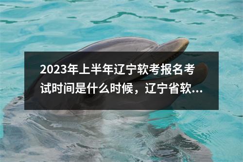 2023年上半年辽宁软考报名考试时间是什么时候,辽宁省软考报名却不去的惩罚