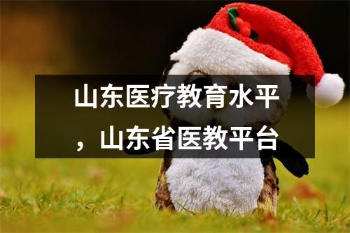 山东医疗教育水平,山东省医教平台