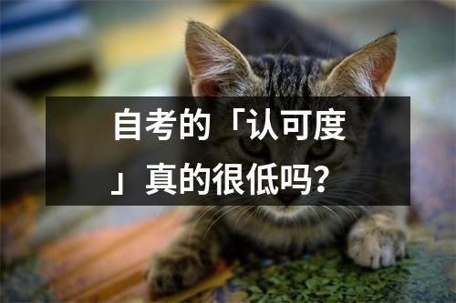 自考的「认可度」真的很低吗？