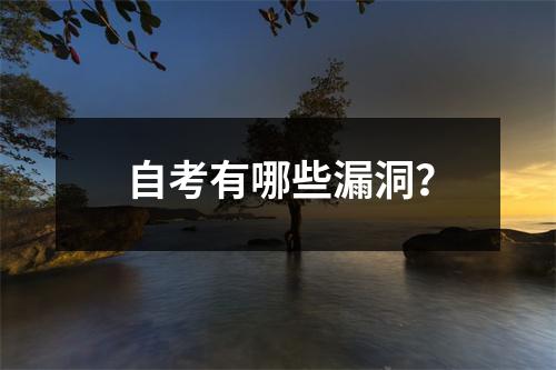 自考有哪些漏洞？