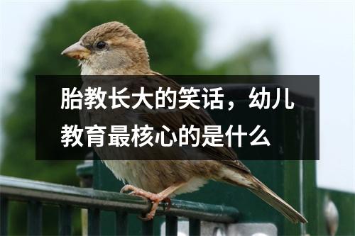 胎教长大的笑话,幼儿教育最核心的是什么