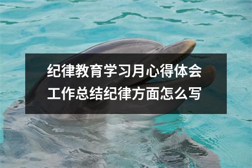 纪律教育学习月心得体会 工作总结纪律方面怎么写