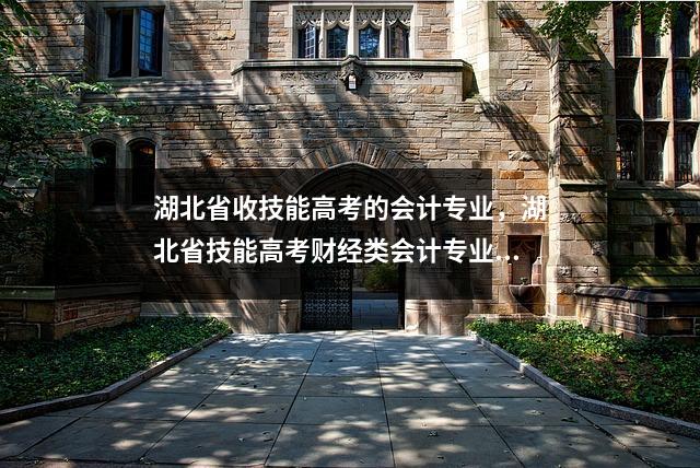 湖北省收技能高考的会计专业,湖北省技能高考财经类会计专业技能操作考试样卷