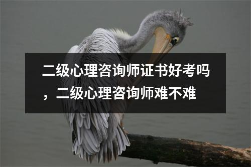 二级心理咨询师证书好考吗，二级心理咨询师难不难