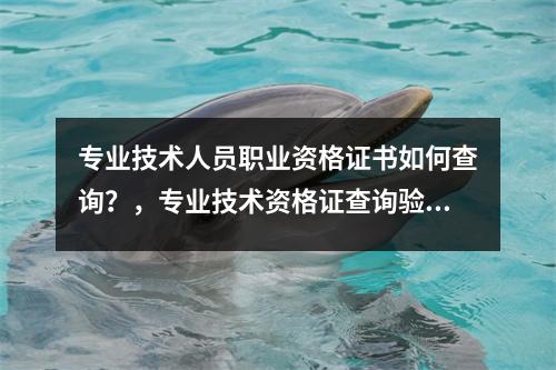 专业技术人员职业资格证书如何查询？，专业技术资格证查询验证