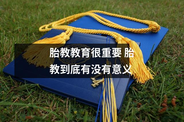 胎教教育很重要 胎教到底有没有意义