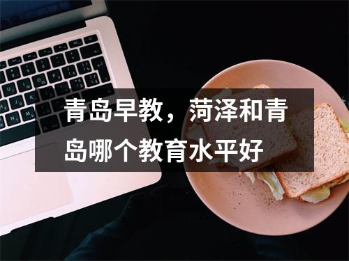 青岛早教，菏泽和青岛哪个教育水平好