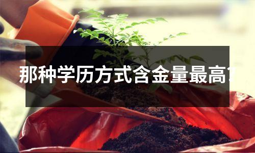 那种学历方式含金量最高?