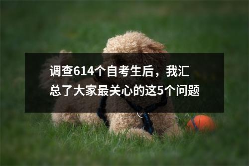 调查614个自考生后，我汇总了大家最关心的这5个问题