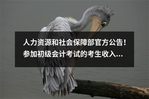 人力资源和社会保障部官方公告！参加初级会计考试的考生收入颇丰——