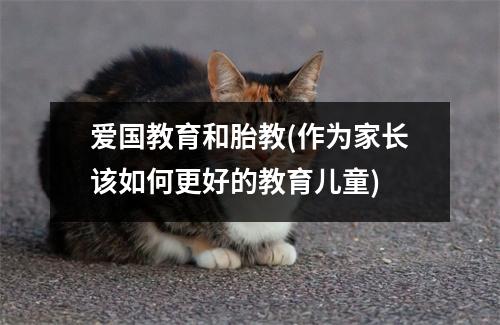 爱国教育和胎教(作为家长该如何更好的教育儿童)