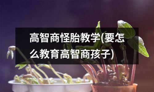 高智商怪胎教学(要怎么教育高智商孩子)
